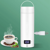 Electric Kettles LED 500ml