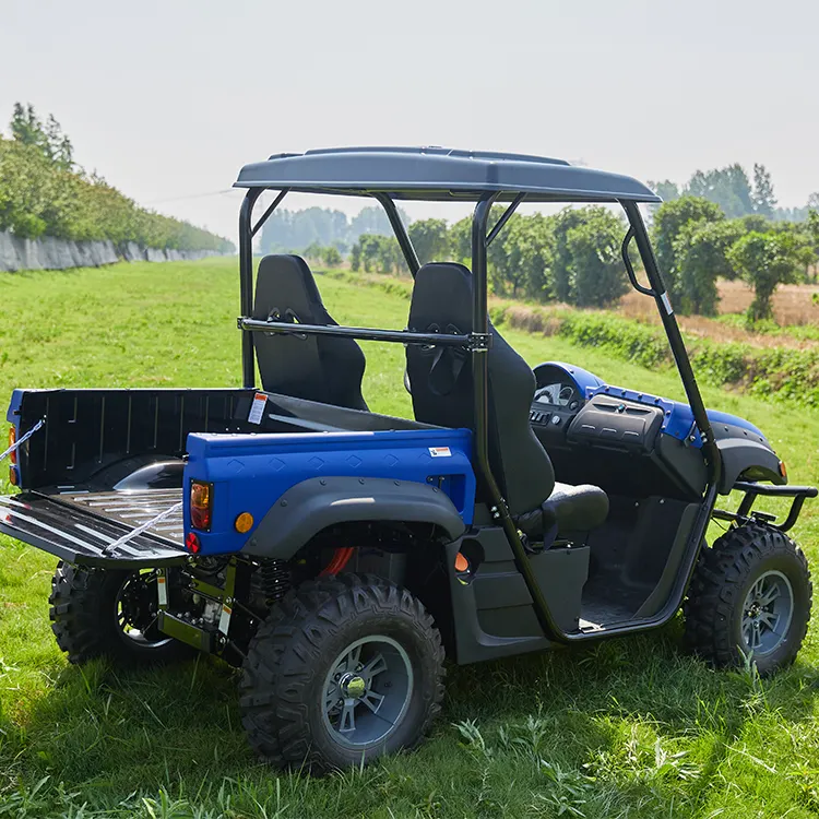 10kw Utv Electric Dual Motor 4X4